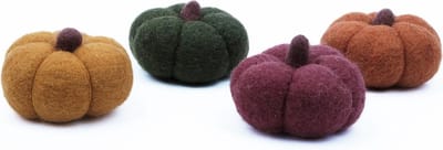 Vilt Fairtrade - Pompoen Medium Assorti - 9x6cm - 4 Stuks - Homedeco