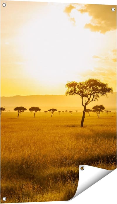 Gards Tuinposter Zonsondergang in de Savanne - 60x90 cm - Tuindoek - Tuindecoratie - Wanddecoratie buiten - Tuinschilderij
