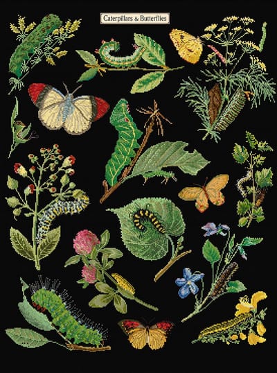 Thea Gouverneur - Borduurpakket met telpatroon - 587.05 - Voorgesorteerde DMC Garens - Rupsen en Vlinders - Zwarte Aida - 45 cm x 60 cm - DIY Kit