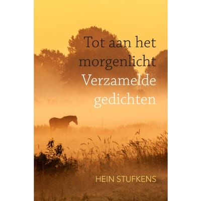 Tot Aan Het Morgenlicht - Hein Stufkens