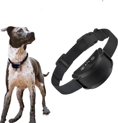 Anti blaf apparaat hond - Briller geen schok kraag voor kleine middelgrote grote honden met geluid vibratie Anti blaf apparaat
