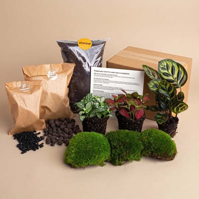 Planten terrarium pakket - Calathea Makoyana - 3 terrarium planten - Startpakket - Navulling - DIY Ecosysteem Planten Set | Inclusief Planten - Substraat - Terrarium potgrond - Bolmos - Actieve kool - Handleiding en tips | urbanjngl