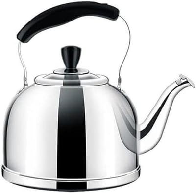 Waterkoker - Theepot - Koken en thee - Luid fluitje - 5.3 Liter - Zilver