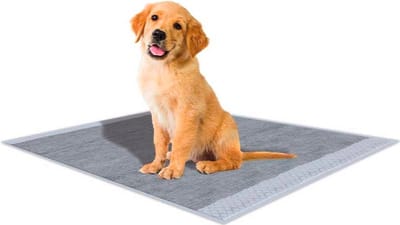 croci - Super absorberende puppypads met actieve kool, 87 x 57 cm, 60 stuks- voor puppy's - zindelijkheidstraining - of oude honden of ...- kan ook rechtstreeks op de vloer - zelfklevende hoeken - no leak - anti-geur -