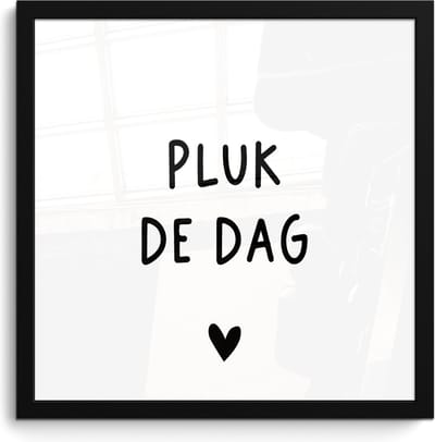 Fotolijst incl. Poster - Spreuken - Quotes - Pluk de dag - Carpe diem - 40x40 cm - Posterlijst