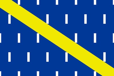 Vlag Charstre 150x225cm