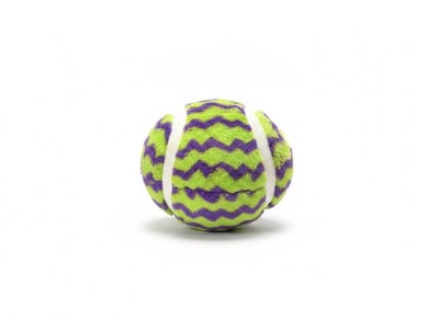 Pluche Hondenbal voor Honden - Zacht Hondenspeelgoed zonder Pieper - Ideaal als Apporteerspeelgoed en Knuffel - Geschikt voor Pups en Volwassen Honden - Extra Grote Fluffy Speelbal - animalking Hondenbal - Groen & Paars