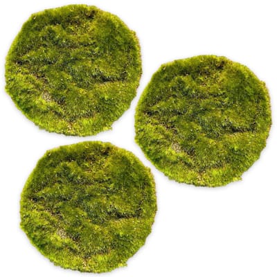 Dailygoods- Kunstgrasplaat Premium Kwaliteit - Decoratie Gras - Siergras/Siermos - 6 Stuks (Ø 20 cm) - Imitatieaarde - Perfect voor Tafeldecoratie - Decoratiegras