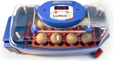 Broedmachine Borotto Lumia 8, automatisch keersysteem