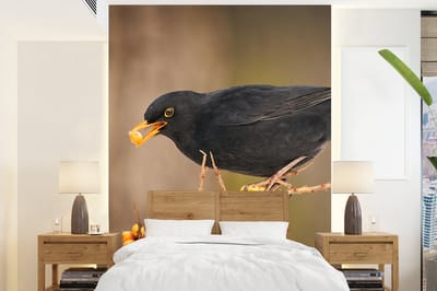 Behang - Fotobehang Vogel - Merel - Winter - IJs - Bes - Breedte 175 cm x hoogte 240 cm