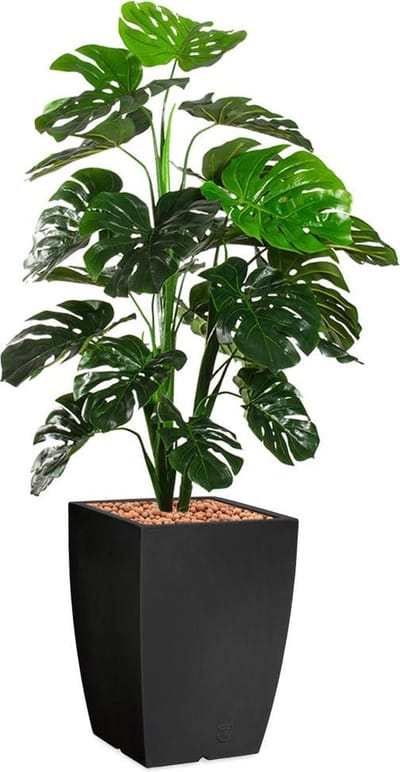 HTT - Kunstplant Monstera in Genesis vierkant antraciet H150 cm