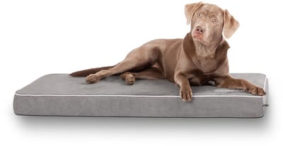 Knuffelwuff hondenmat Maui van velours met 9 cm schuimstof grijs XXL 110 x 66