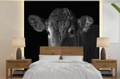 Behang - Fotobehang Koe - Dieren - Zwart - Wit - Portret - Breedte 240 cm x hoogte 240 cm