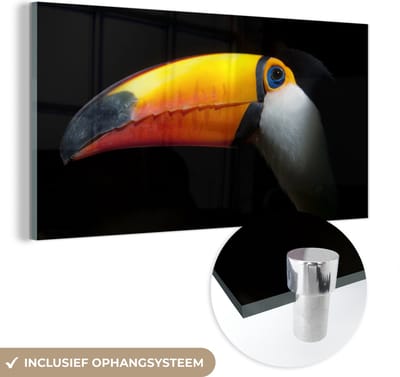 MuchoWow® Glasschilderij 40x20 cm - Schilderij acrylglas - Toekan - Vogel - Snavel - Foto op glas - Schilderijen