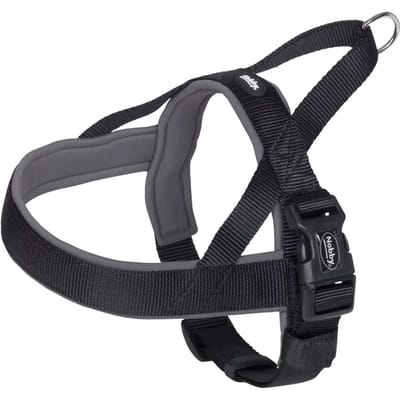 Noors hondenharnas Nobby Pet Classic Preno