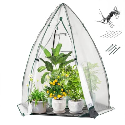 COSTWAY Broeikas, foliekas met ritssluiting, netvenster, bodemafdekking, tomatenkas, overwinteringstent voor winterbescherming voor planten, 160 x 139 x 182 cm