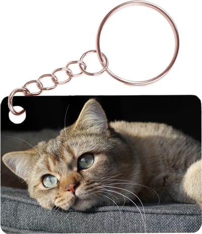 Sleutelhanger 6x4cm - Europees Korthaar Kat Tijger Liggend