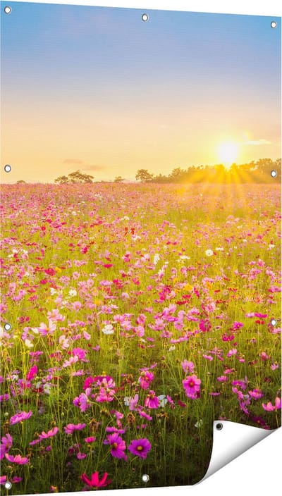 Gards Tuinposter Bloemenveld met Roze Kosmos - 80x120 cm - Tuindoek - Tuindecoratie - Wanddecoratie buiten - Tuinschilderij