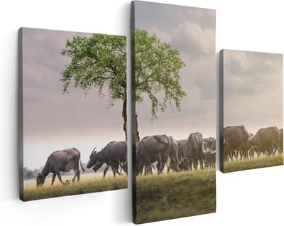 Artaza Canvas Schilderij Drieluik Kudde Buffels bij een Boom - 90x60 - Foto Op Canvas - Canvas Print
