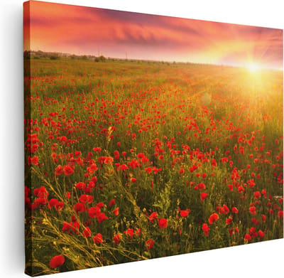 Artaza Canvas Schilderij Klaprozenveld - 40x30 cm - Klein - Wanddecoratie Zonsondergang - Muurdecoratie Bloemen Natuur - Kamer Accessoires Woonkamer