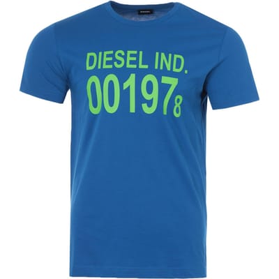 Heren Diesel T-DIEGO T-Shirt in Blauw