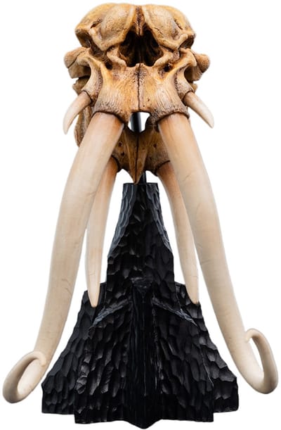 The Lord of the Rings - Figuur - Miniature Skull of a Mumak