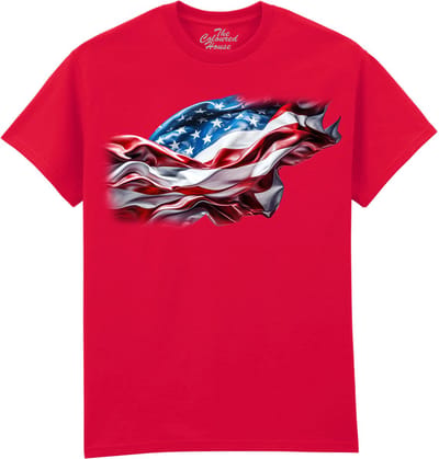 American Flag The Coloured House T-shirt M