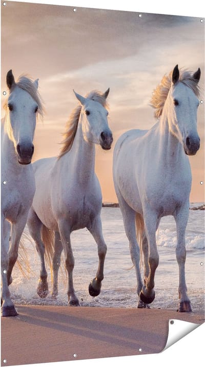 Gards Tuinposter Witte Paarden op het Strand bij Water - 120x180 cm - Tuindoek - Tuindecoratie - Wanddecoratie buiten - Tuinschilderij