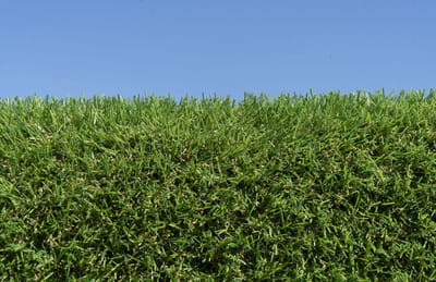 Kunstgras 2 x 7 meter - 20mm ✅ Nederlandse Productie - Uitgeroepen zachtste Grastapijt ✅ Waterdoorlatend | Tuin | Kind | Dier