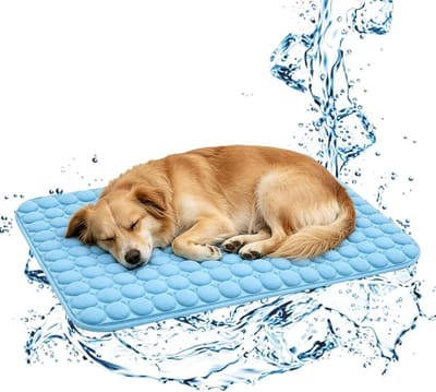 M 60 x 50 CM Koelmat Voor Huisdieren | Ademend Zacht Rusttapijt Kattenkoelkussen | Opvouwbaar En Wasbaar | Voor Honden & Katten | Geschikt Voor Kittenmand Vloer Bank Thuis En Reizen | Verkoelend Comfortabel Zomer Accessoire| Cyslmuk®