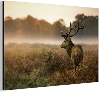 Aluminium schilderij 180x120 cm - Wanddecoratie metaal - Hert - Mist - Herfst - Metalen muurdecoratie woonkamer - Decoratie industrieel - Foto op dibond - Industriële accessoires slaapkamer