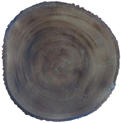 Floz Design houten schaal met schors - schaal in natuurlijke vorm hout - 40 x 19 cm - fair trade
