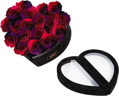 Flowerbox Longlife Mary J Rainbow - Rosuz – Luxe Roze Regenboog Rozen - 3 Jaar Houdbare Echte Rozen zonder Water! Valentijnsdag Geschenk in Velvet Cadeau Doos – Perfect Cadeau voor Haar