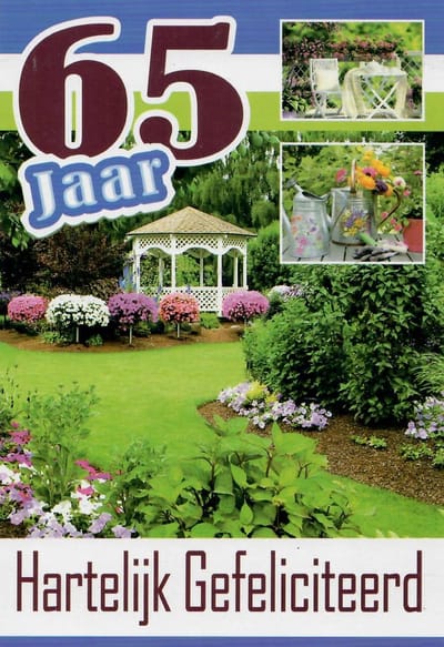 Wenskaart Gefeliciteerd 65 Jaar - D4395/219 - Luxe verjaardagskaart - 12x17cm - Gevouwen Wenskaart inclusief envelop - Leeftijdskaart