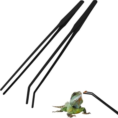 Set van 2 RVS Aquariumpincetten van 27 cm, Recht en Gebogen, Ideaal voor Terrarium en Plantenzorg