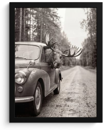 Poster in lijst - Fotolijst 30x40 cm - Posters - Eland - Auto - Gewei - Zwart - Wit - Posterlijst zwart - Decoratie - Wanddecoratie woonkamer - Muurdecoratie slaapkamer