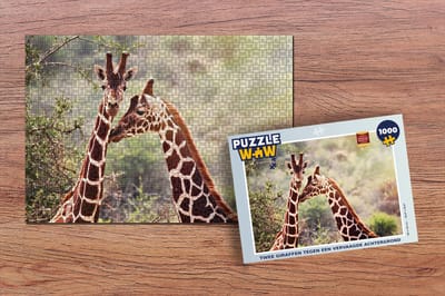 Puzzel Twee giraffen tegen een vervaagde achtergrond - Legpuzzel - Puzzel 1000 stukjes volwassenen