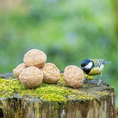 CJ Wildlife - 6x Vetbollen met insectenvet - Energierijke tuinvogelvoer - Zonder netje