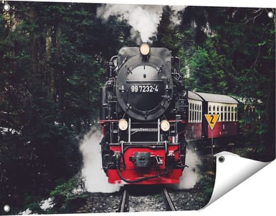 Gards Tuinposter Locomotief in de Bossen met Stoom Wolken - 90x60 cm - Tuindoek - Tuindecoratie - Wanddecoratie buiten - Tuinschilderij