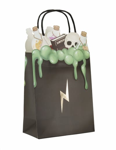 PARTYPRO - 4 Tovenaarsleerling cadeauzakjes 20 cm