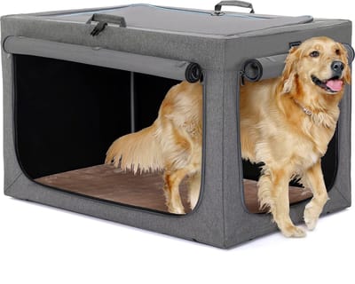 JGS® - Opvouwbare Hondenbox voor Auto en Thuis met Verstelbaar Design en Scheurvast Netvenster (XL, Grijs)-
