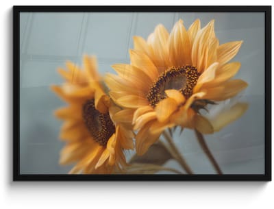 Poster in lijst - Fotolijst 90x60 cm - Posters - Zonnebloemen - Geel - Wazig - Posterlijst zwart - Decoratie - Wanddecoratie woonkamer - Muurdecoratie slaapkamer