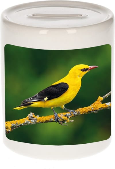 Dieren wielewaal vogel foto spaarpot 9 cm jongens en meisjes - Cadeau spaarpotten wielewaal vogel vogels liefhebber