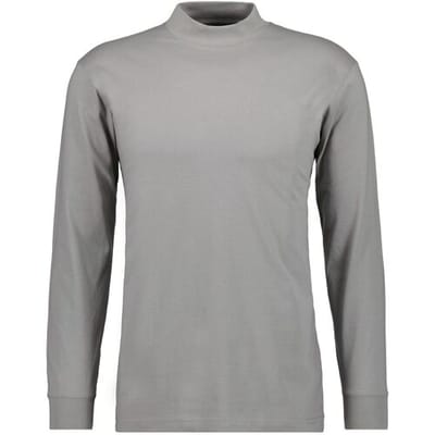 Ragman Long Sleeve Turtle T-Shirt Single Jersey Quality Gravel Stone / male