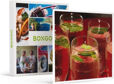 Bongo Bon -High Cocktail Met Borrelplank Voor 2 Bij Thijs & Aafke In Drenthe- Cadeaukaart
