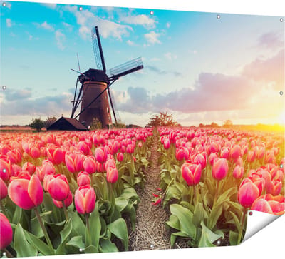 Gards Tuinposter Roze Tulpen Bloemenveld - met Windmolen - 160x120 cm - Tuindoek - Tuindecoratie - Wanddecoratie buiten - Tuinschilderij