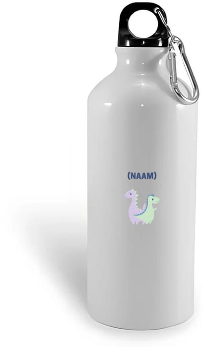 Hacebo® - 2 dino's met eigen naam waterfles - Dinosaurus - kinderen/dino liefhebber - verjaardagscadeau - cadeau - kado - geschenk - verjaardag - water fles - 400ML