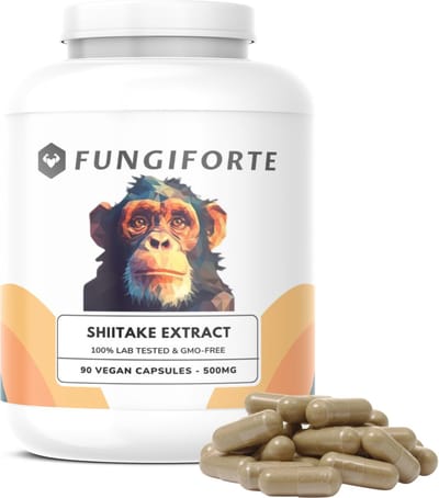FungiForte - Shiitake Extract 500mg - 90 stuks - Non-GMO - Lab Tested - Shiitake Capsules - Paddenstoel Supplement