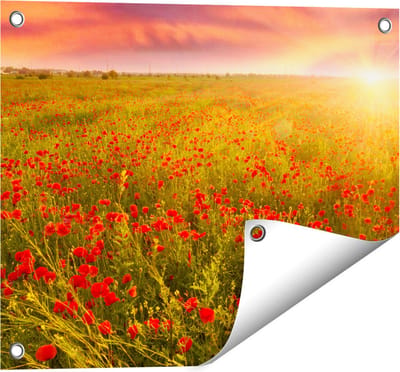 Gards Tuinposter Rode Klaproos Bloemenveld - Zonsondergang - 50x40 cm - Tuindoek - Tuindecoratie - Wanddecoratie buiten - Tuinschilderij