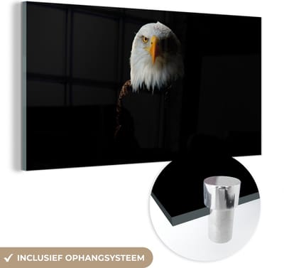 MuchoWow® Glasschilderij 40x20 cm - Schilderij acrylglas - Adelaar - Vogel - Zwart - Foto op glas - Schilderijen